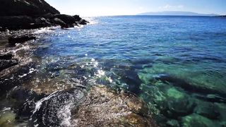 Sea sure naturally Scene