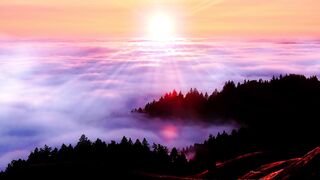 Sun Set Scene