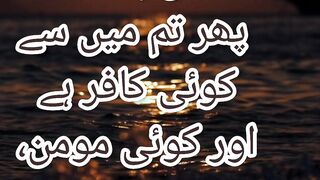 Quran verses ❤