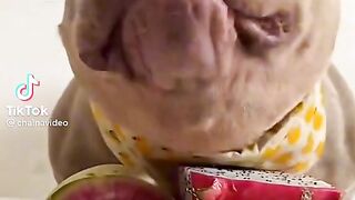 I have lunch.