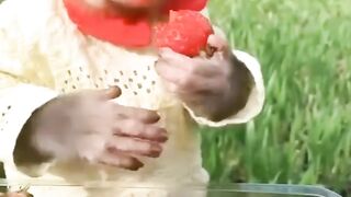 Monkey eats strawberries