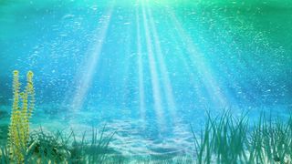 Ocean Sea