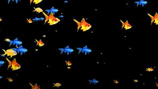 Fishes AquariumSwim