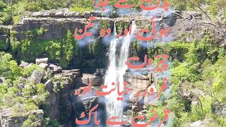 Great leader said: Enter in Paradise