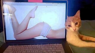 Я РЖАЛ ЦЕЛЫЙ Час КОШКИ  ЛУЧШИЕ ПРИКОЛЫ _