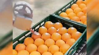 Best Satisfying Videos
