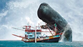 Уникальные Кадры, Когда Морские Монстры Атакуют Корабли