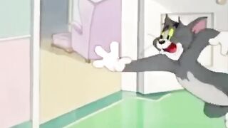 Funny videos about coronavirus! Coronavirus!.