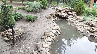 Красивый водоём!