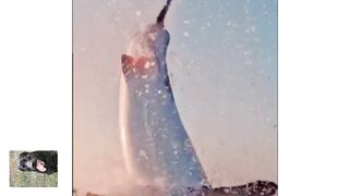 Эпическое видео. Идет охота.
