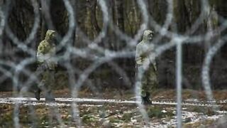 Белорусские пограничники заявили о двойном нарушении границы польскими военными