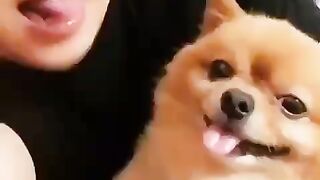 Cute Dog - #29