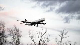 В самолетах могут появиться наручники и ремни для дебоширов