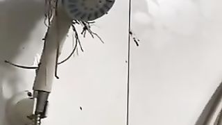 Birds nest inside a bathroom