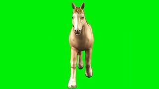 Green Hors
