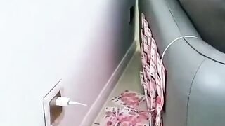 Socket imported quality