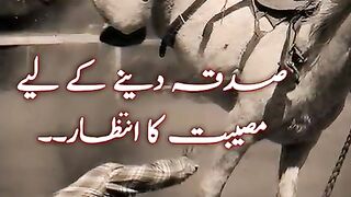 Sadqa / Urdu Aqwal e zareen/ beautiful Urdu Status