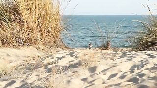 Beach with people