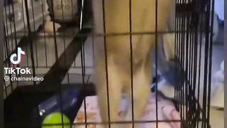 let me out.