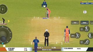 Cricket games