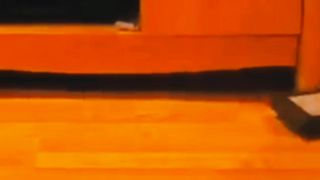 Funny videos