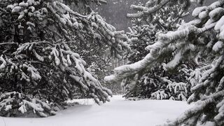 Best Snow Winter Video
