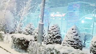Snowy night