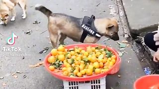 give me some more.
