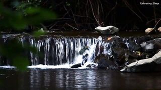 Relaxing Piano Music With Water Sound. Romantic Music, Beautiful Music, Soothing Sleep Music,