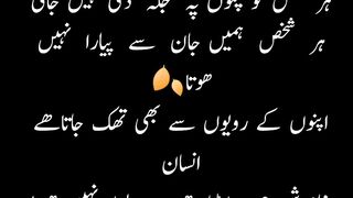 poetry collection