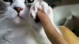 Funny moments