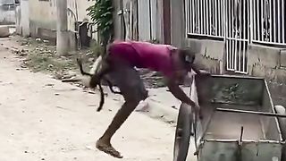 funny