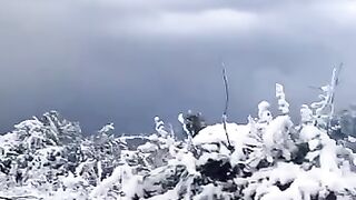 Snow fall
