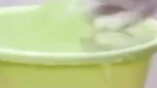 Funny acts of Cat's on febspot
