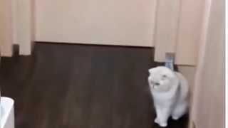 Funny