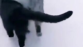 Утро 1 января!