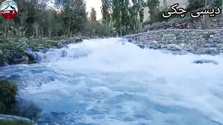 Dasi AATA  chakhi