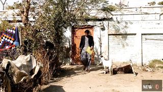 Job Ke leye Pareshan /2023