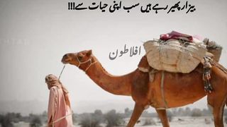 Zanadii