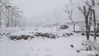 چور کی سزا