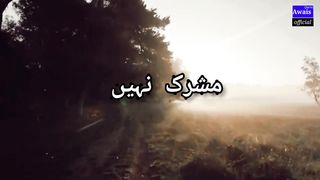 Whatsapp status | 2023 whatsapp new status | islamic whatsapp status |Naat whatsapp status |Naat whatsapp poetry