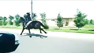 Horse race