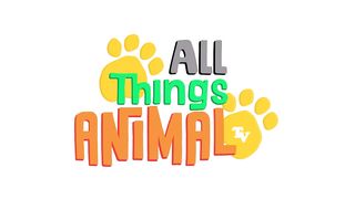 * PENGUINS * |Animals For Kids | All Things Animal TV Quality, educational videos for kids. Made in the UK. Subscribe to All Things Animal TV! here: