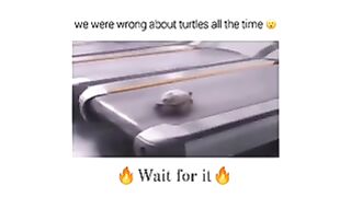 Funny video ????????