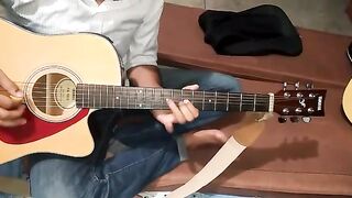 Guitarist