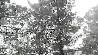 Snow fall with murree