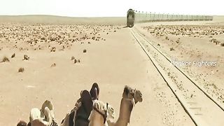 Action Thrill Clip