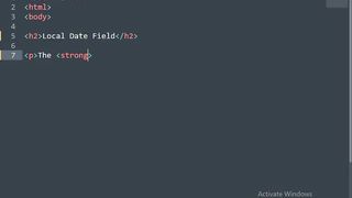 Input Type Datetime Local In Html