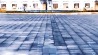Snake video