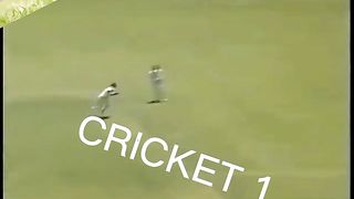 Steve Waugh take 5 runs